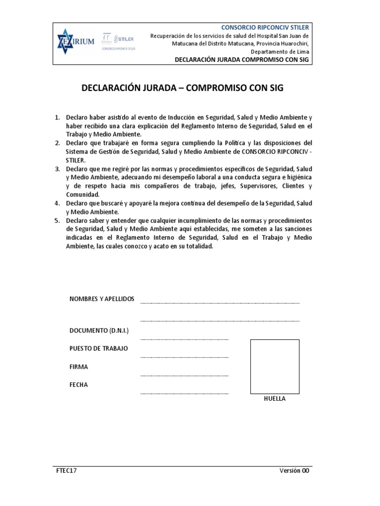 Declaración Jurada de Compromiso SIG | PDF