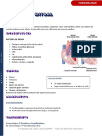 17. Válvula Mitral (Estenosis e Insuficiencia)