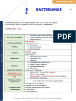 Infecciones Bacterianas - Piodermitis