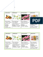 Lamina de Clasif, Plantas