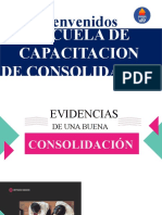 EVIDENCIAS DE UNA BUENA CONSOLIDACION