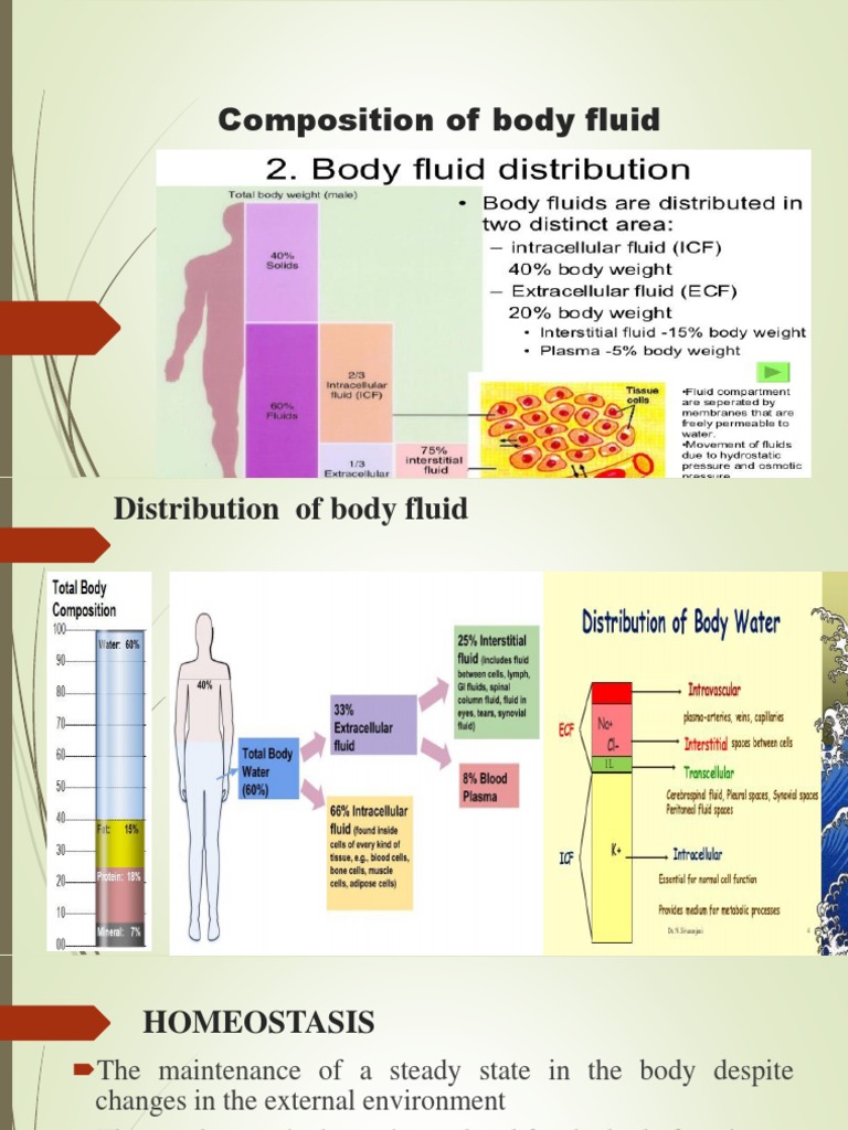 Composition of Body Fluid PDF