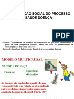 DeterminaçãoSocial 2017-1 (1)