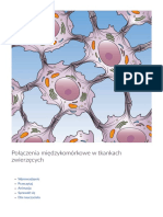 Polaczenia Miedzykomorkowe W Tka