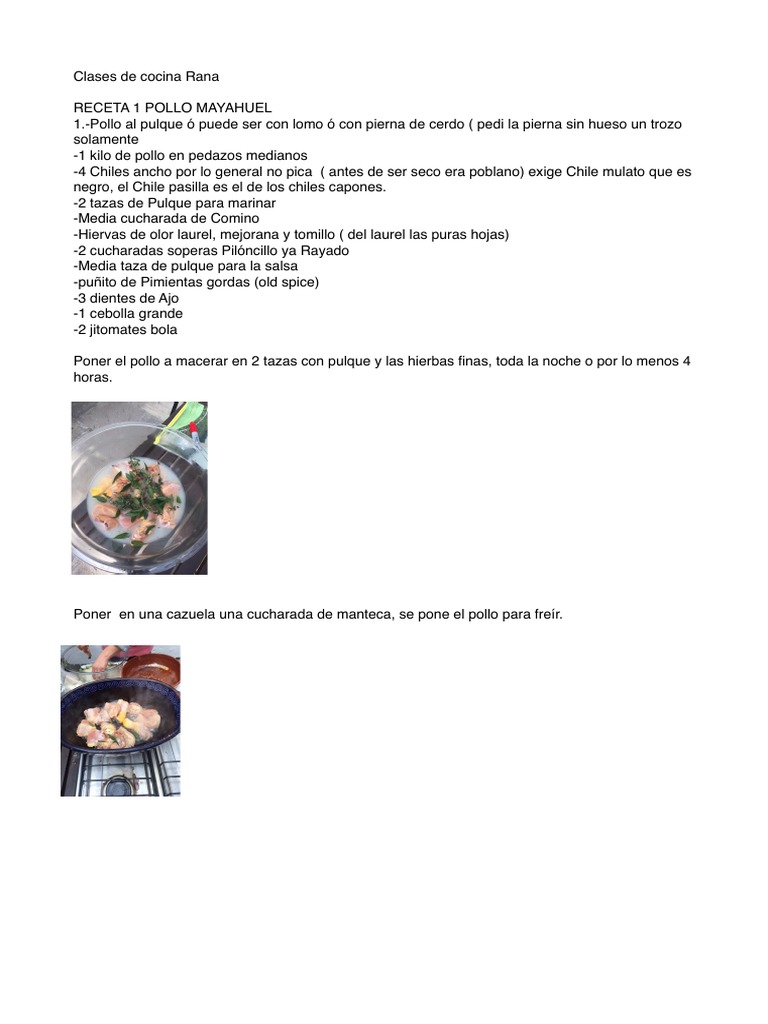 Recetas de Salsas y Pollo al Pulque | PDF | Cilantro | Salsa