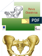 4 Pelvis Obstétrica FPM (Modo de Compatibilidad)