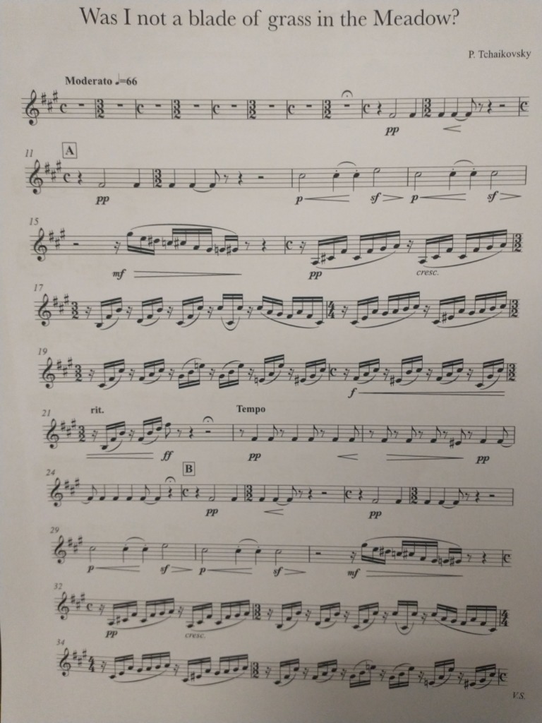 Was I not a blade of grass in the Meadow violin 1 PDF