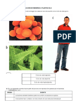 Taller Reproducción de Moneras A Plantas No 2