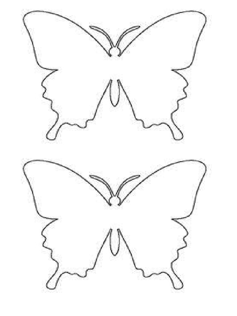 BUTTERFLY Template PDF