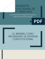 Garantía Jurisdiccional de Los Derechos