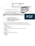 Prueba PAG Sujecion y Correcto Llenado de Jeringa