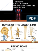 MBHE010 - Osteology and Joints of The Lower Limb