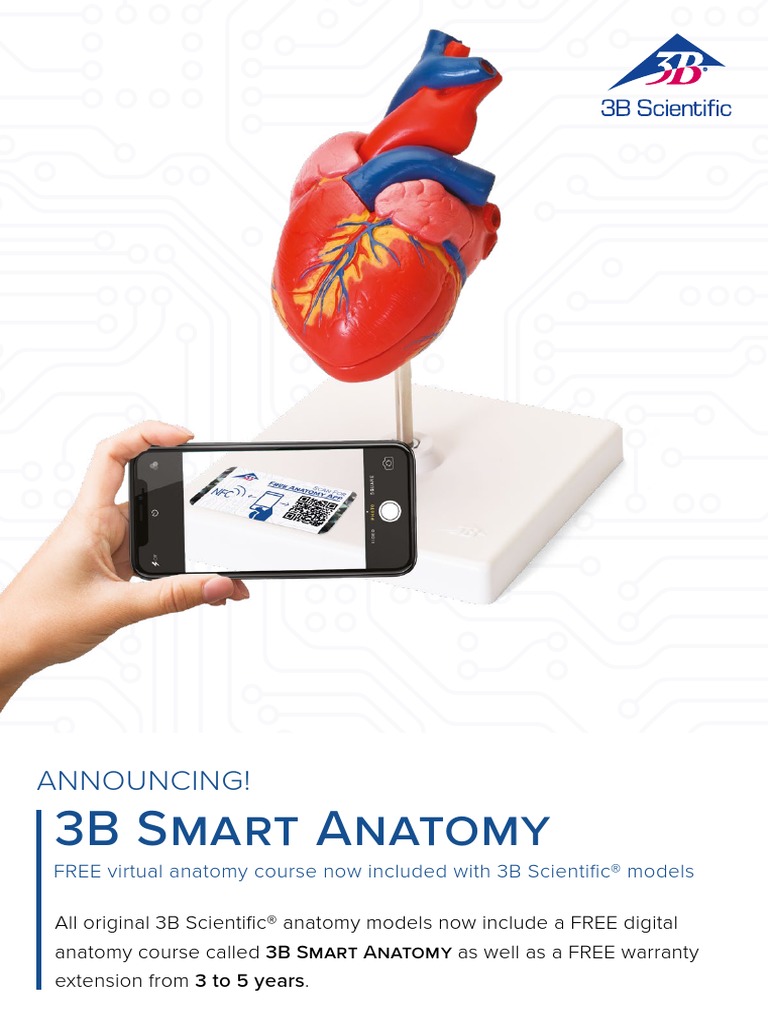 3B Smart Anatomy Flyer English | PDF | Anatomy | Computing