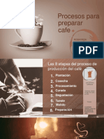Procesos de Produccion Del Cafe.