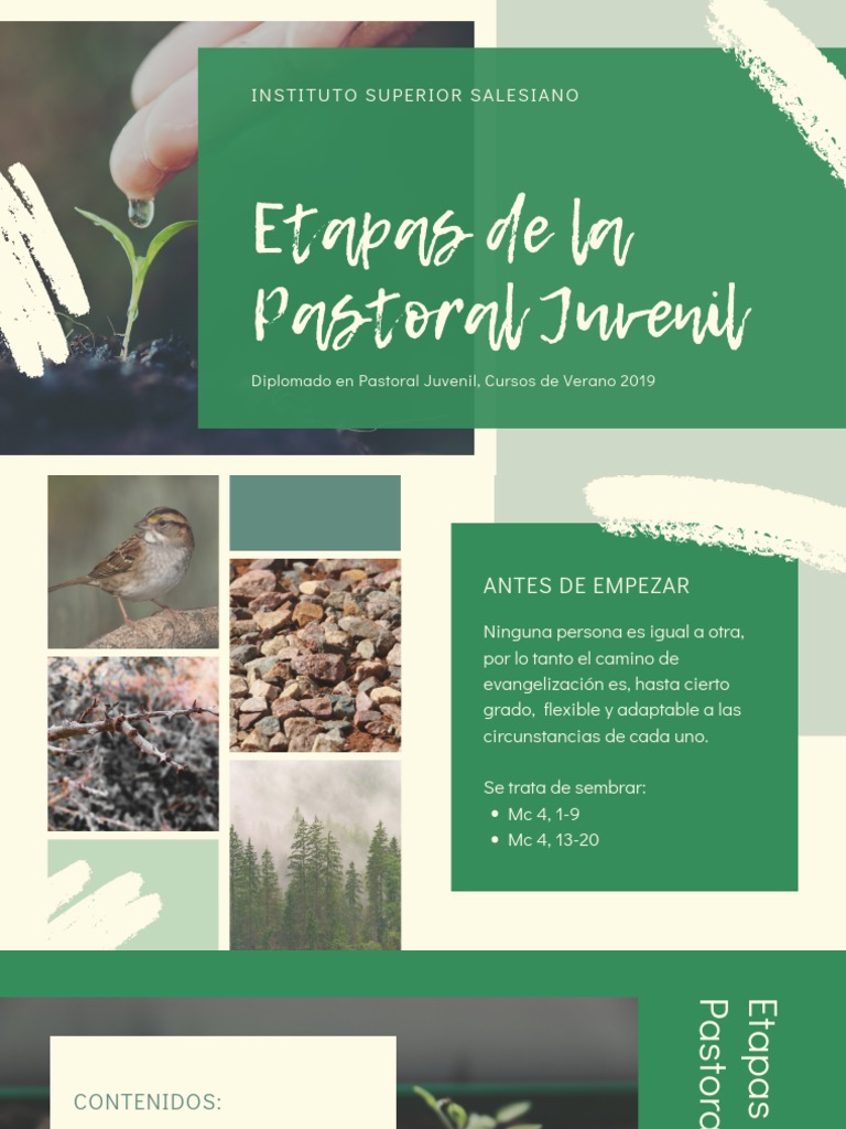 Etapas de la Pastoral Juvenil | PDF | Estilo de vida