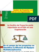 La Gestión de Proyectos y El Éxito en Una Organización