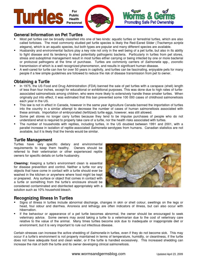 M2 Turtles PHP1 | PDF | Salmonella | Infection