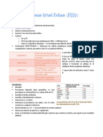 1.infecciosas Felinas P1