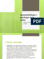 Anatomofiología y Patologías de La Visión Ultima Clase