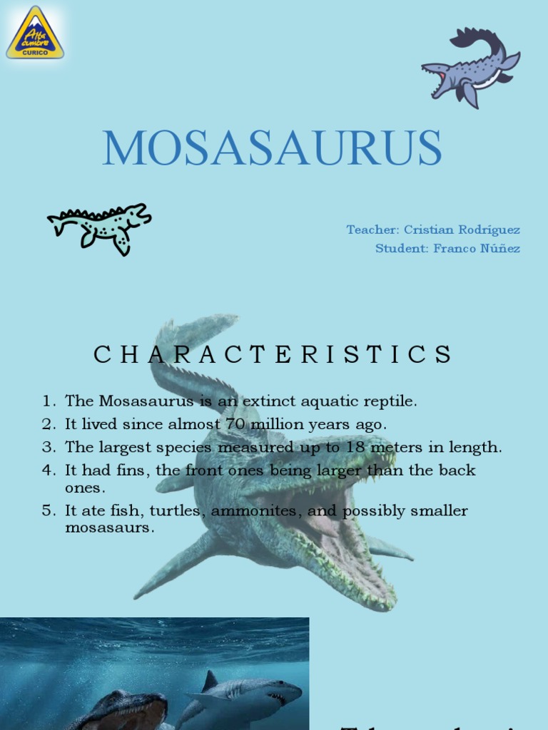 Mosasaurus Characteristics Guide | PDF | Science & Mathematics