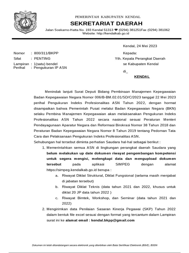 Surat IP ASN | PDF