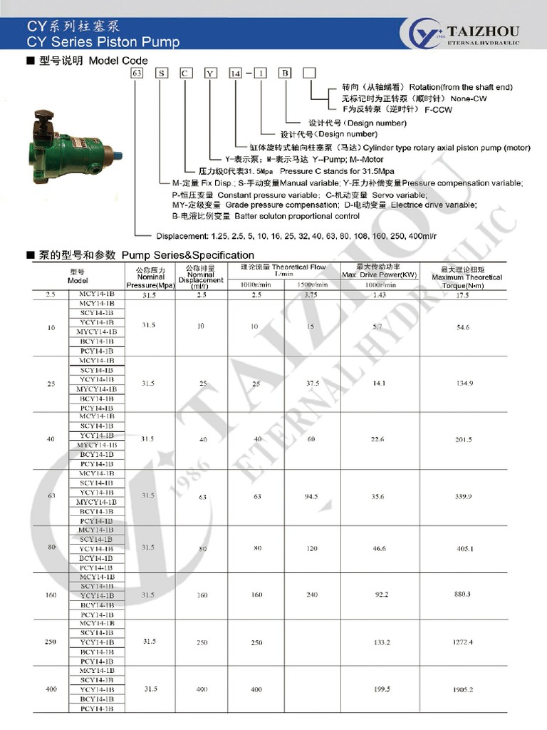 CY Piston Pump | PDF