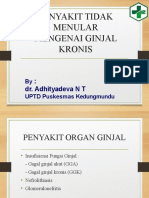 Penyakit Ginjal Kronis