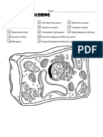 3.2 Plant Cell Art