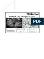 Pertanian