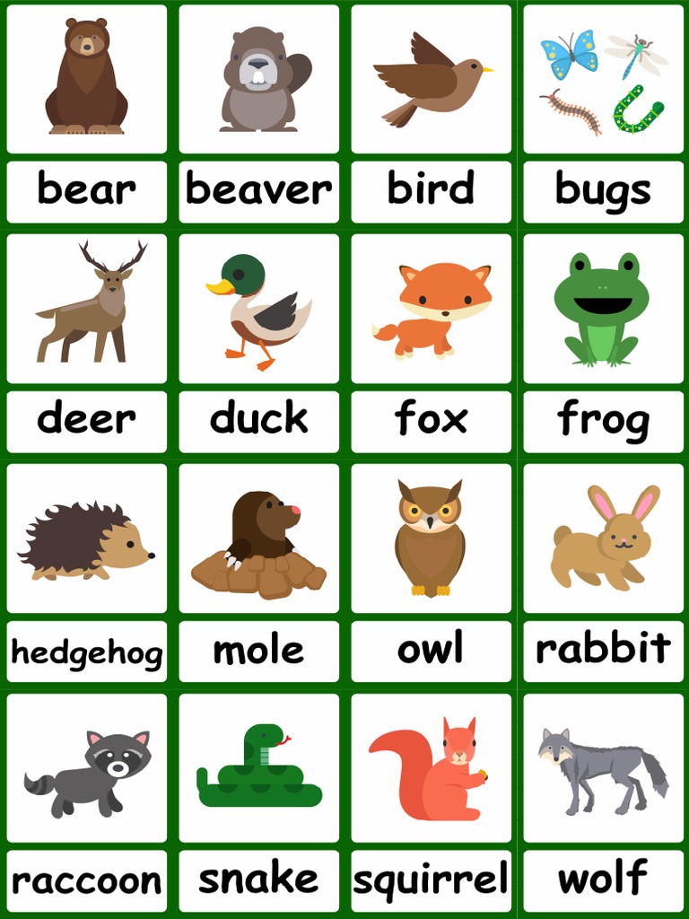 Forest Animals PDF