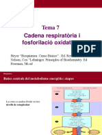 T7 - Cadena Respiratã Ria I Fosforilaciã Oxidativa