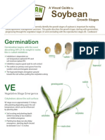 2020.10.19 - Soybean Growth and Development