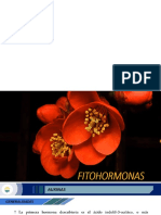 FITOHORMONAS