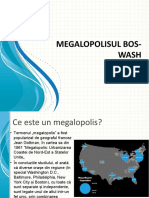 Megalopolisul Bos Wash - referat clasa a 7-a