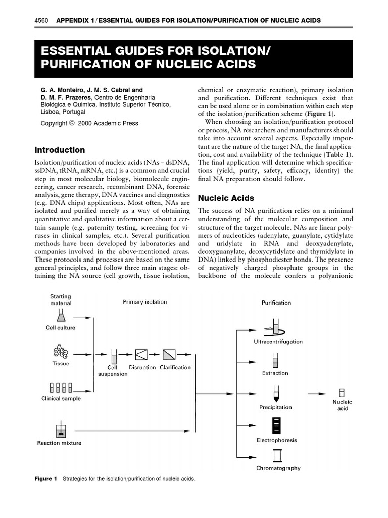 Appendix 1 ESSENTIAL GUIDES FOR ISOLATION PURIFICATION OF NUCLEIC | PDF