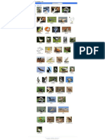 WWW - Dicts - PDF Bird