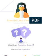 Linux Essential Commands
