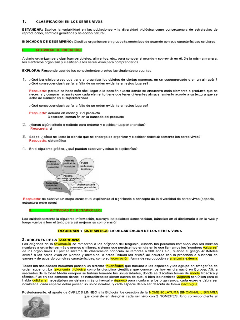 Taxonomia Clasificacion De Los Seres Vivos 1234 Yulia Pdf Taxonomía