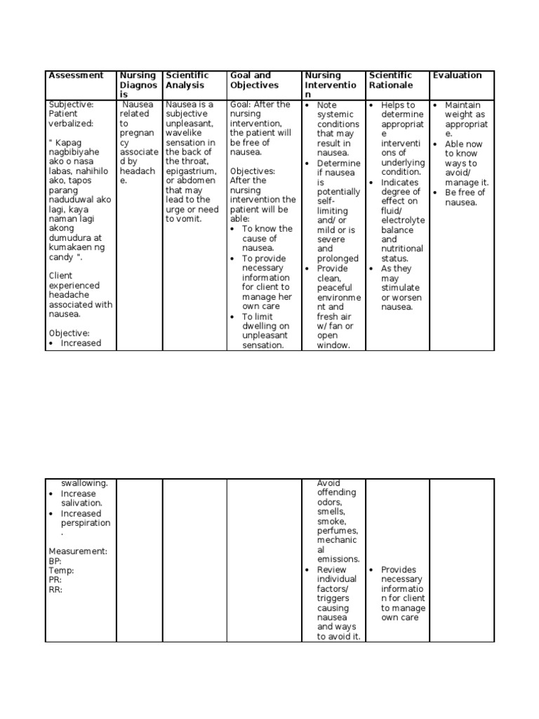 Nursing Care Plan Prenatal PDF Bleeding Nausea
