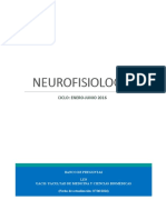 Banco de Preguntas Neurofisiología Completo