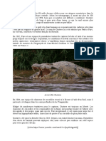 Le Dossier de Gustave, Le Crocodile Tueur