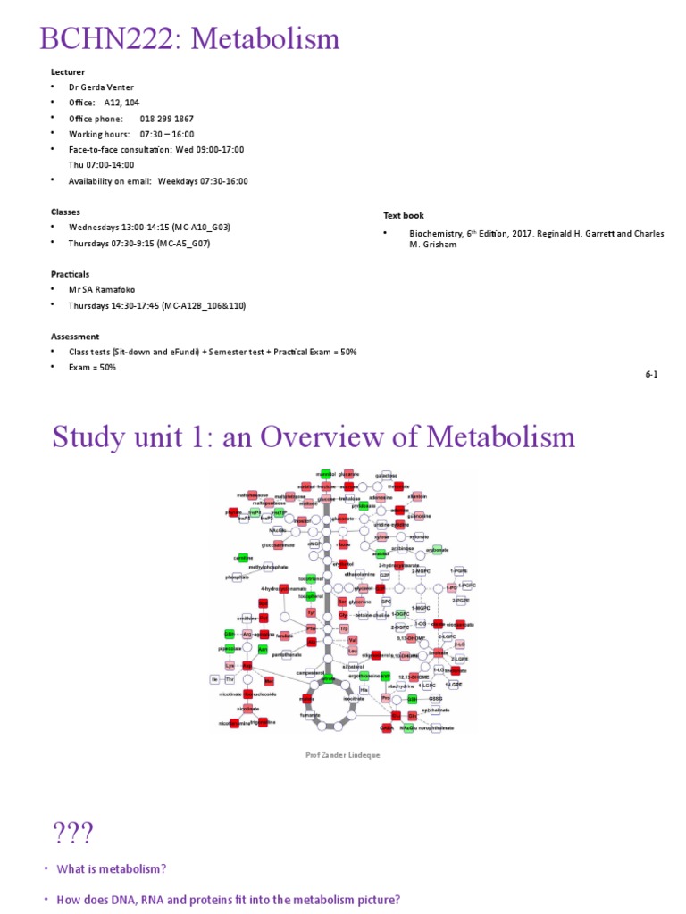 Overview of Metabolism Concepts | PDF | Metabolic Pathway | Metabolism