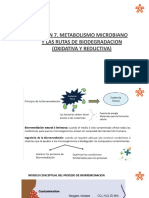 Sesion 4. Metabolismo Microbiano y Rutas de Biodegradacion