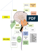 Infografia