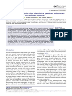 PE - PGR Proteins of Mycobacterium Tuberculosis - A Specialized Molecular Task Force at The Forefront of Host-Pathogen Interaction