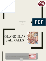 Glandulas-Cx Final
