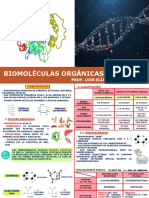 Biología Biomoléculas Orgánicas Pre