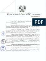 Resolución Jefatural 208 - 2022 PDF