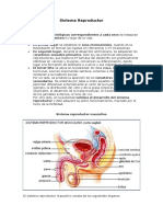 PDF - Sistema Reproductor