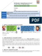 Ficha de Trabajo N°18-Notación de Lewis